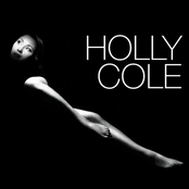 Be Careful, It's My Heart by Holly Cole