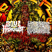 Blue Holocaust / Lysergic Rites of Sadopriest