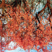 The Call of Christ master