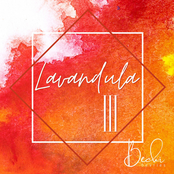Lavandula III