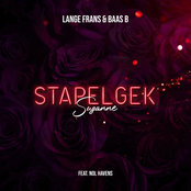 Stapelgek (Suzanne)