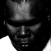 Geoffrey Gurrumul Yunupingu