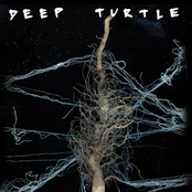 Pesadilla by Deep Turtle