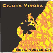 cicuta virosa