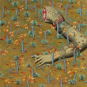 I Only Miss You When You're Gone