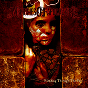 bleeding trough the past