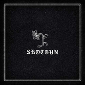 Shotgun