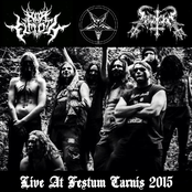 Live At Festum Canis 2015