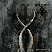 Cursed Madness by Sulphur