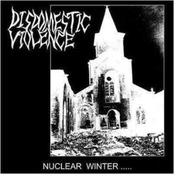 Nuclear Winter
