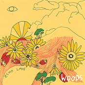 I Was Gone by Woods