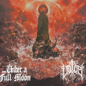 Vortex of the Undead