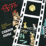 Собаки луны