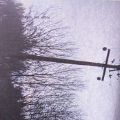 Knives in Black and White: V [1.1]