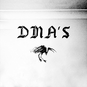 DMAs: DMA's