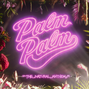 Palm Palm: The Natural Anthem