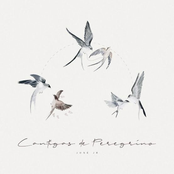 Cantigas de Peregrino