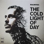 The Cold Light Of Day by Dialectrix