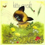 When Fortune Smiles by Kitty Craft