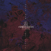 Only Our Eyes Are Alive