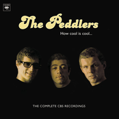 What Now My Love by The Peddlers