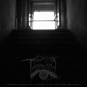 Il Perpetuo Sconcerto Per La Realtà In Cui Mi Sveglio Ogni Giorno