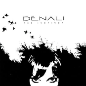 The Instinct by Denali
