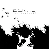 Do Something by Denali