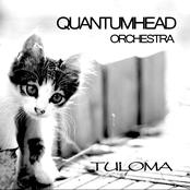 Quantumhead Orchestra