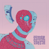 Lunar Moth: Stranger