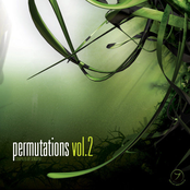 Permutations Vol. 2