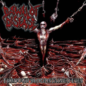 Sadistic Ejaculation by Dawn Of Disease