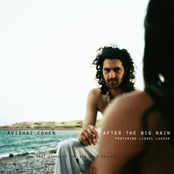 After The Big Rain by Avishai Cohen