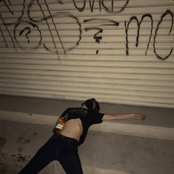 Abajo los Pugs - Single