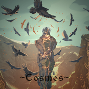Cosmos