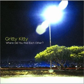 Elevator Drop by Gritty Kitty