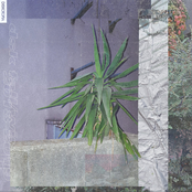 DSK F​/​W 2019​-​2020 Free Compilation