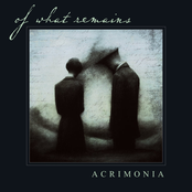 Acrimonia