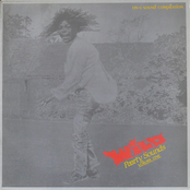 Wild Paarty Sounds Volume One