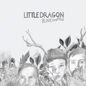 Never Never (sbtrkt Remix) by Little Dragon