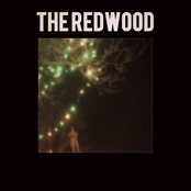 The Redwood