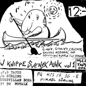 En Knippe Svensk Punk Vol 1