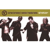 trunk funk: the best of the brand new heavies
