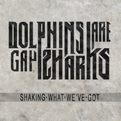 Shaking What We've Got