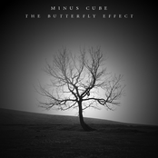 The Butterfly Effect