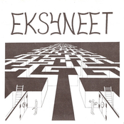 Eksyneet
