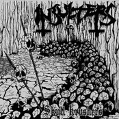 Skull Krushers (Demo)