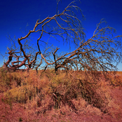 The Tale Of Timpson Squire