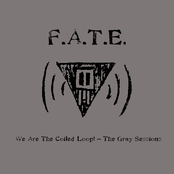 We Are The Coiled Loop! - The Gray Sessions