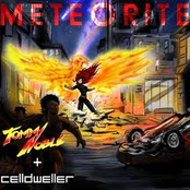 Meteorite - Single